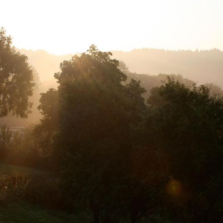 KoppEifel Rebeige Gerolstein公寓 外观 照片