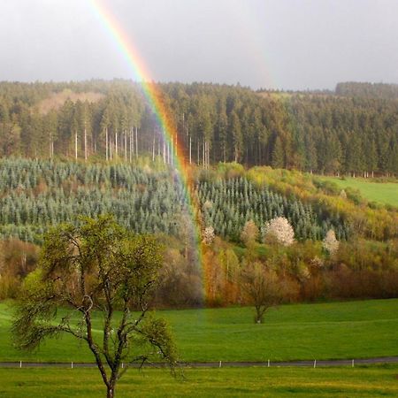 KoppEifel Rebeige Gerolstein公寓 外观 照片